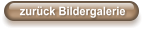 zurück Bildergalerie